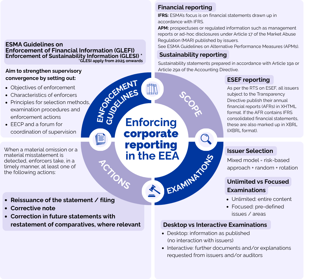 Enforcing corporate reporting in the EEA
