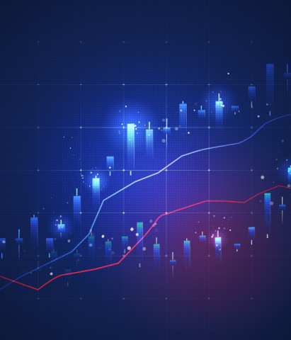 Investors and issuers