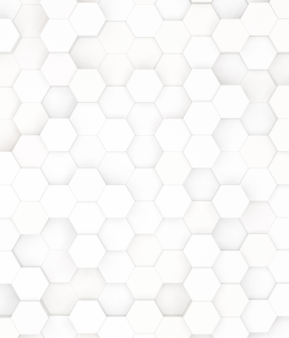 Governance Structure