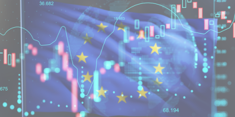 Newsletter November and December 2025