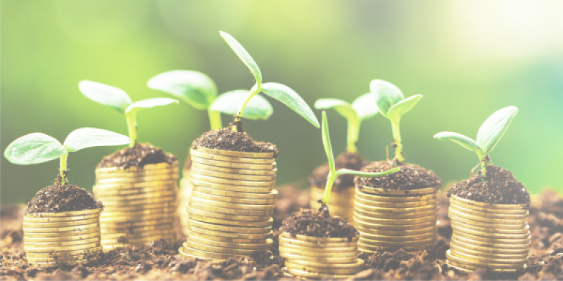 Guidelines on funds’ names