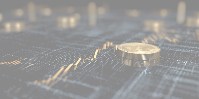 MiCA interim register