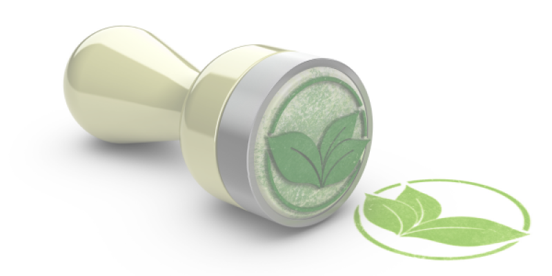 Impact of guidelines on the use of ESG or sustainability-related terms in fund names