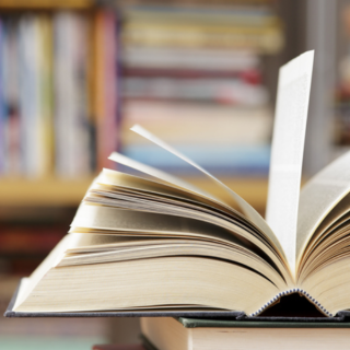 Interactive single rulebook