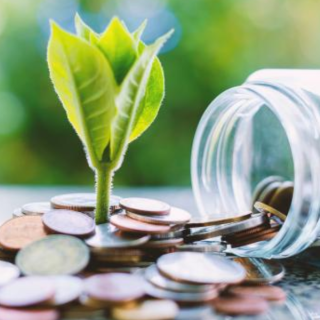 Sustainable Finance Alt Text